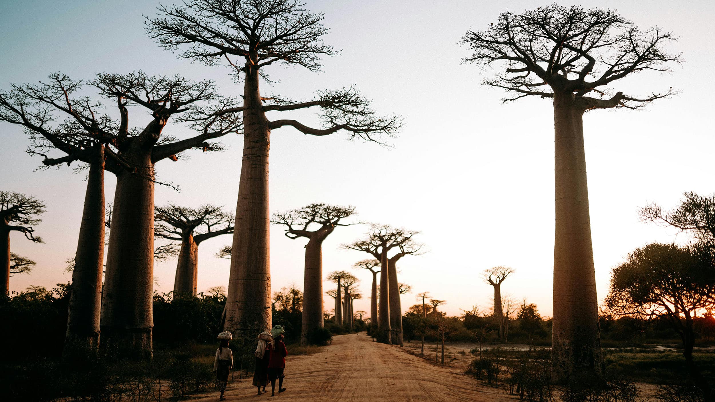 Madagascar Travel Guide